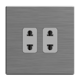 Double 10A Socket